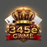 345e Game