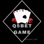 Q5Bet Game